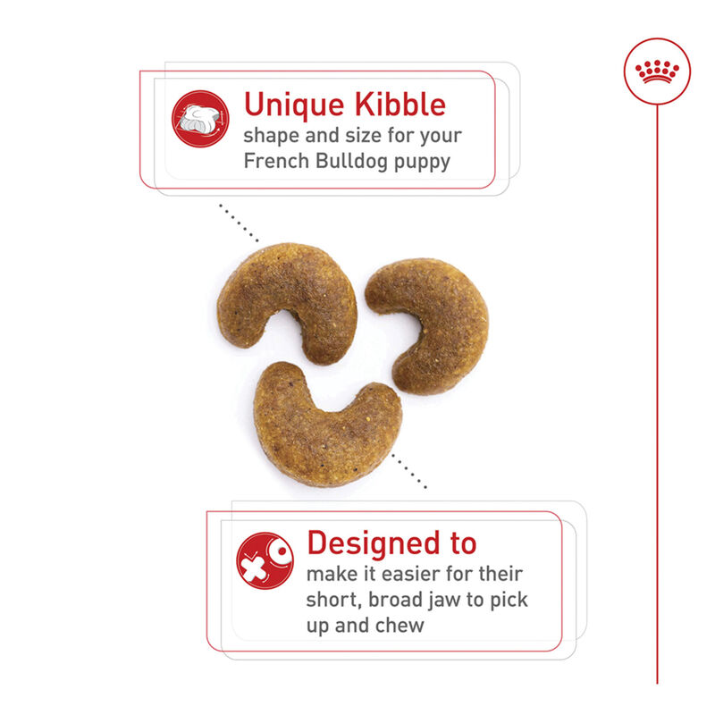 Royal Canin, Breed Health Nutrition French Bulldog Puppy 3LBS - Dry Dog Food image number null