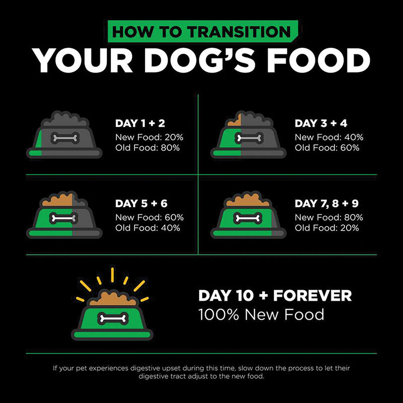 GO! SOLUTIONS, Adult - LI Sensitivites GF Insect Recipe - Dry Dog Food image number null