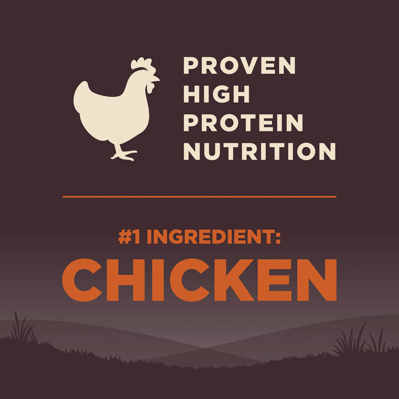 Wellness, Core, Grain Free Large Breed - 26 lb - Dry Dog Food image number null