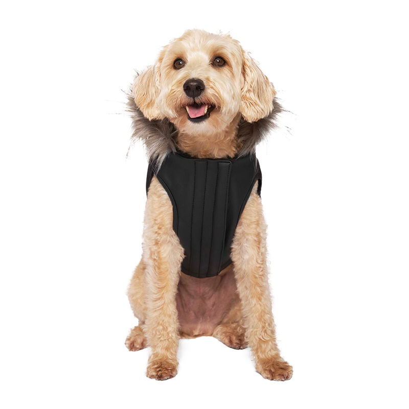 Canada Pooch, Eco+ Alaskan Army Parka - Black - Dog Coat image number null