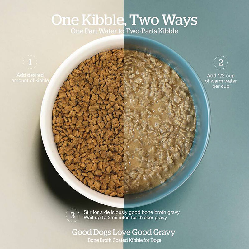 Good Gravy - Cage-Free Chicken Recipe with Ancient Grains - Adult Small Breed - Dry Dog Food image number null