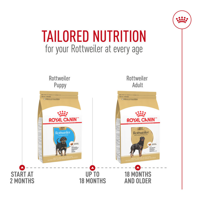 Royal Canin, Breed Health Nutrition Rottweiler Adult - Dry Dog Food image number null