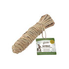 Living World, Small Animal Chew Toy - Carrot image number null
