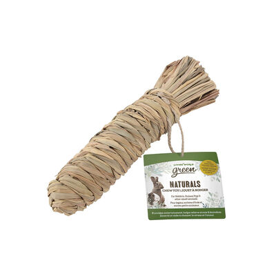 Living World, Small Animal Chew Toy - Carrot