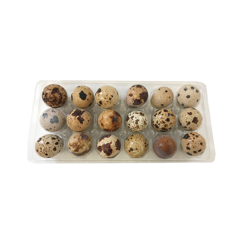 Big Country Raw, Quail Eggs - 18 ct - Frozen Dog Food image number null