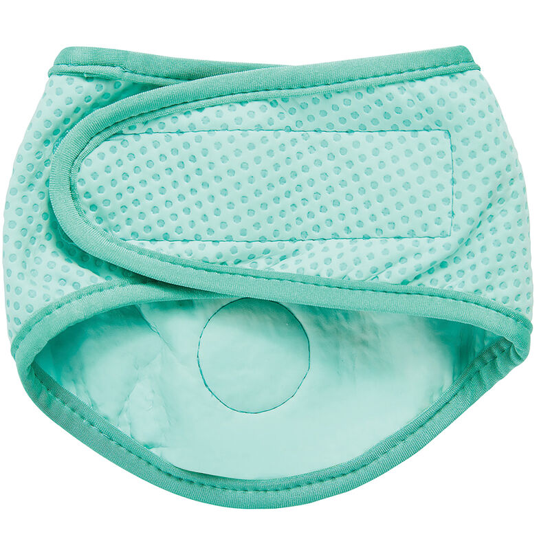 GF Pet, Ice Band Aqua image number null
