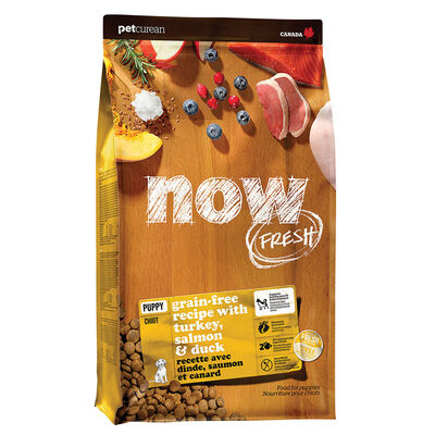 NOW FRESH, Puppy GF - Dry Dog Food