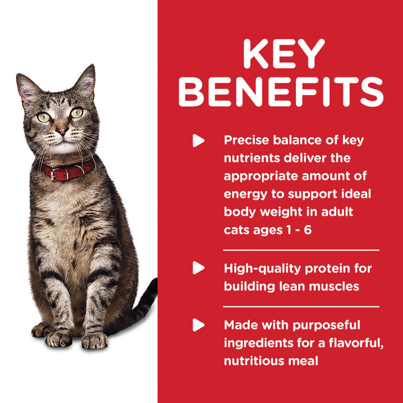 Science Diet, Adult Savory Chicken Canned Cat Food, 156g - Wet Cat Food image number null