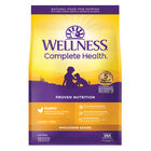 Wellness, Complete Health Puppy with Deboned Chicken, Oatmeal & Salmon Meal - Dry Dog Food image number null