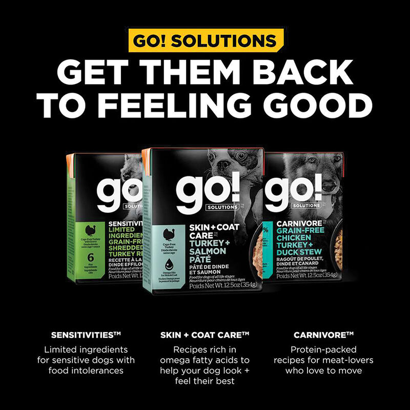 GO! SOLUTIONS, SKIN + COAT CARE Turkey + Salmon PÃ¢tÃ© for dogs image number null