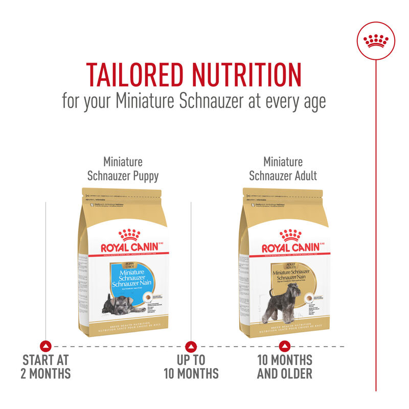 Royal Canin, Breed Health Nutrition Miniature Schnauzer Adult - Dry Dog Food image number null