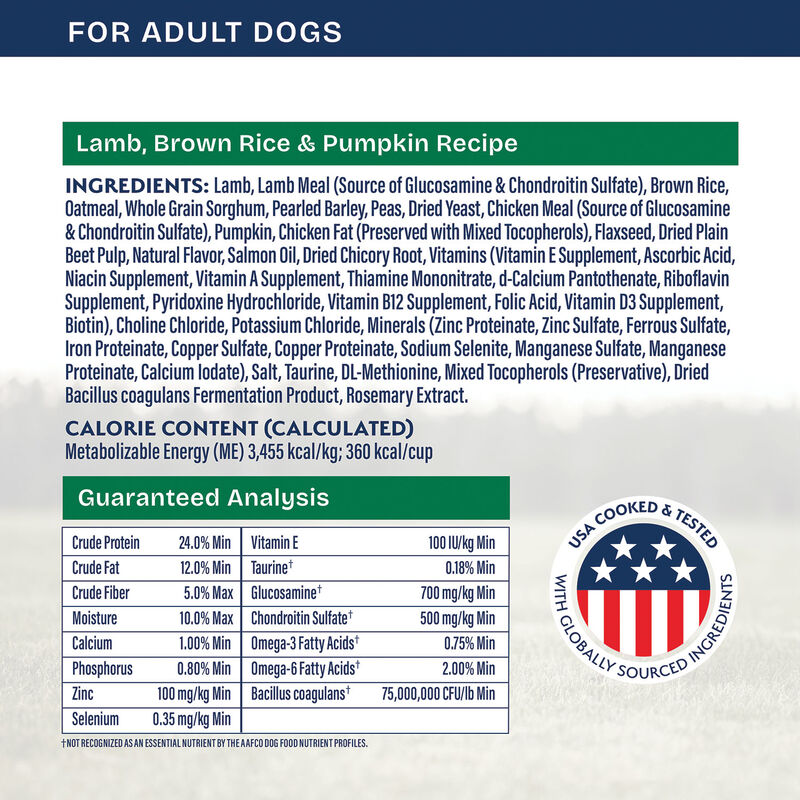 Natural Balance, Health Protection - Real Lamb, Brown Rice & Pumpkin Recipe - Dry Dog Food image number null