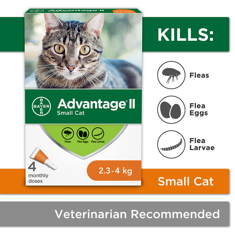 Advantage II, Feline Adult - 2.3-4 kg image number null