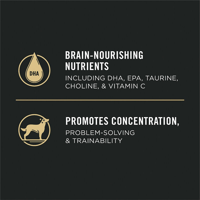 Pro Plan, Puppy, Sport Development 30/20 - Chicken&Rice - 10.9 kg - Dry Dog Food image number null