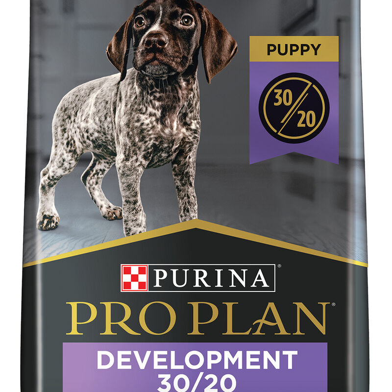 Pro Plan, Puppy, Sport Development 30/20 - Chicken&Rice - 10.9 kg - Dry Dog Food image number null