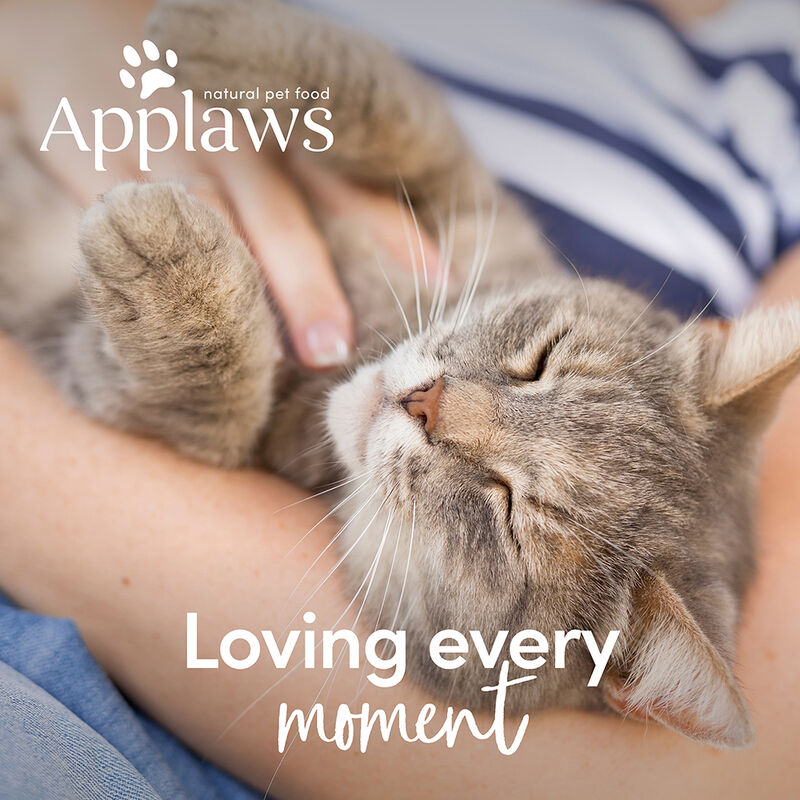 Applaws, Can, Feline Adult - Chicken w/ Pumpkin - Wet Cat Food image number null