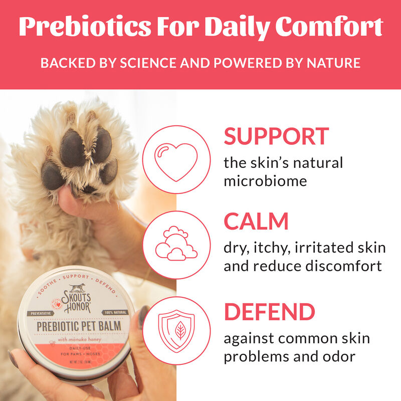 Skouts Honor, Probiotic Paw & Nose Balm - 59 ml image number null