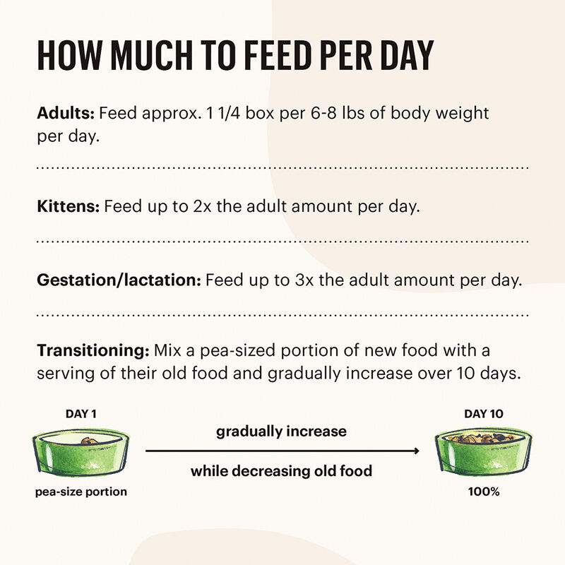 The Honest Kitchen, Grain Free Salmon & Cod Pate - Wet Cat Food image number null