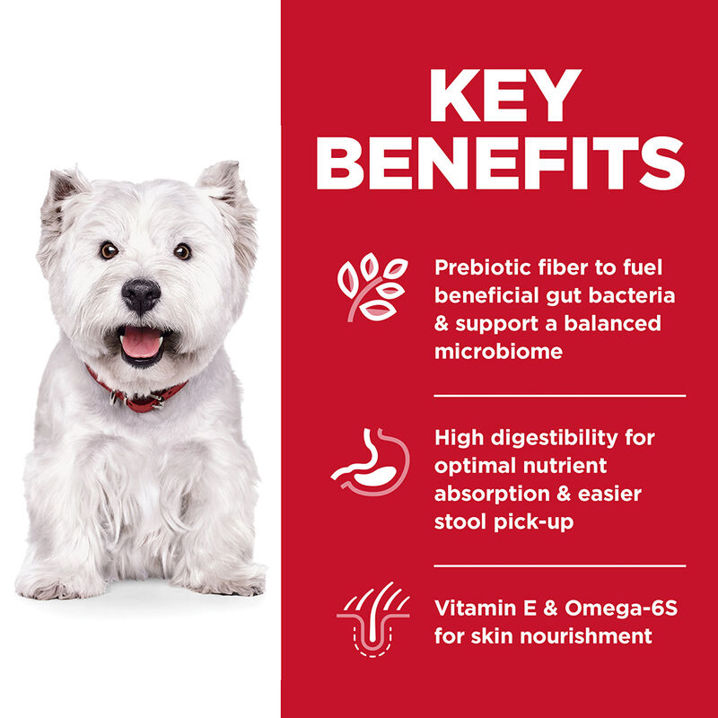 Science Diet, Adult Sensitive Stomach & Skin Small Bites Chicken Recipe Dry Dog Food - Dry Dog Food image number null