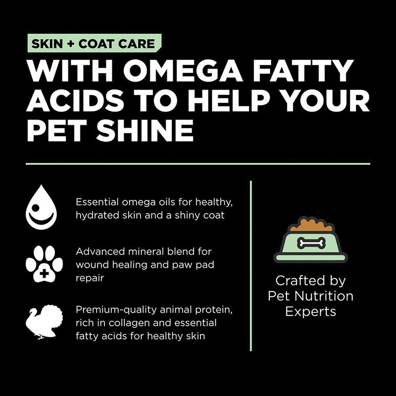 GO! SOLUTIONS, SKIN + COAT CARE Turkey Recipe With Grains for dogs - Dry Dog Food image number null