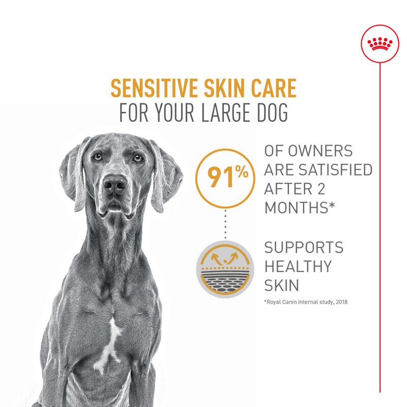 Royal Canin, Canine Care Nutrition Sensitive Skin Care Adult Large - Dry Dog Food image number null