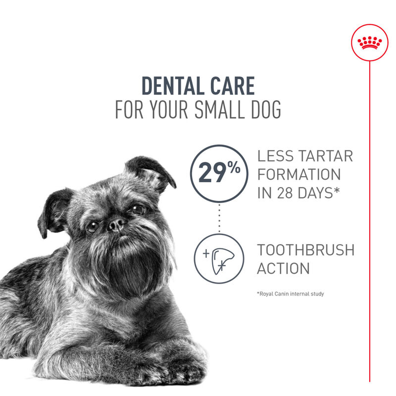 Royal Canin, Adult - Dental Care - Small - Dry Dog Food image number null