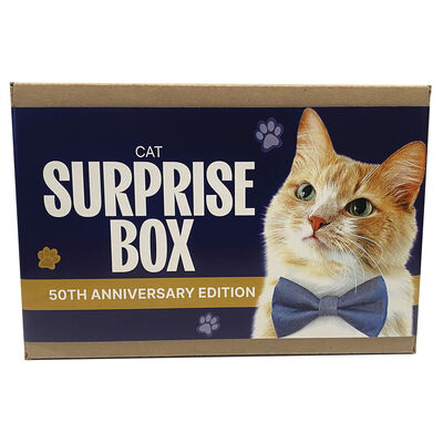 Surprise Box - Cat