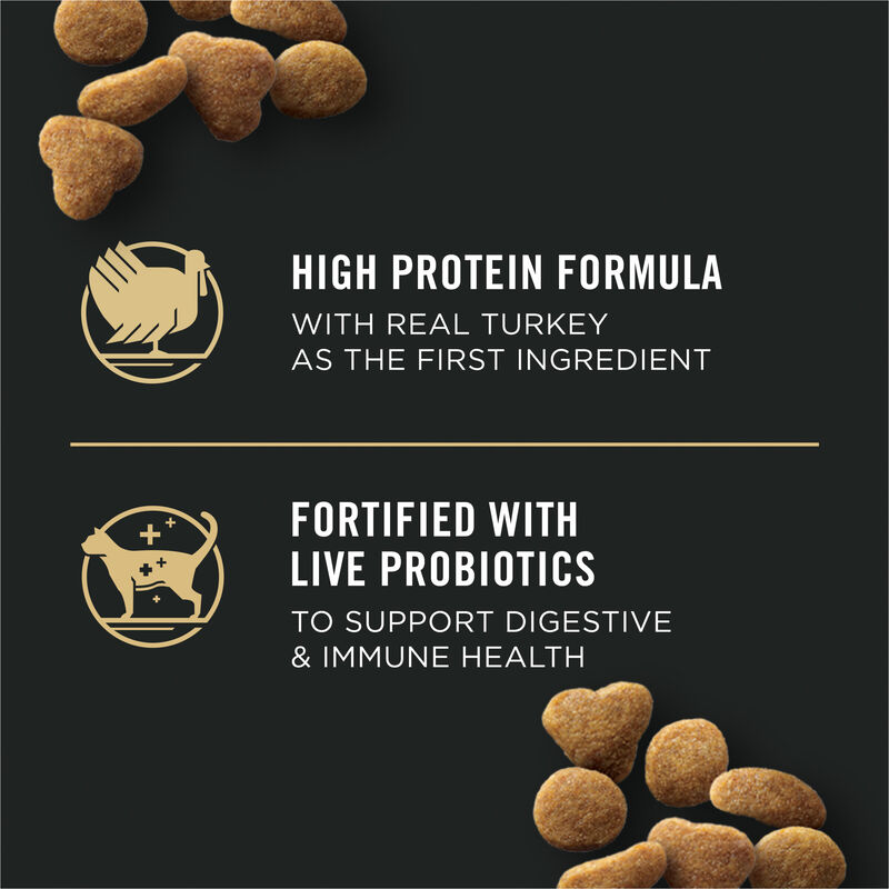 Pro Plan, FelineAdult-SpecIndoorHairball-Turkey&Rice - Dry Cat Food image number null