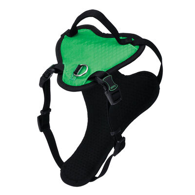 Harness, Green, X-Large - 1" x 30"-43"