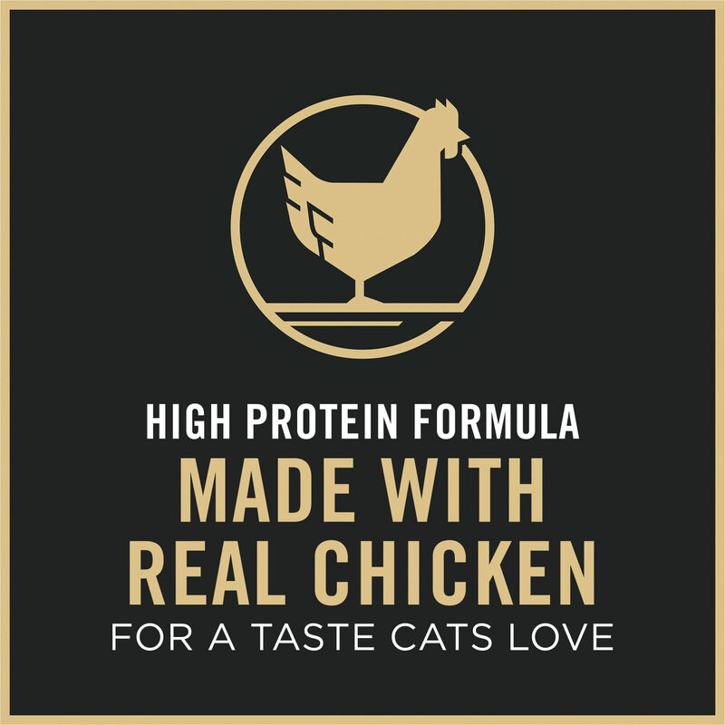 Pro Plan, Complete Essentials Chicken and Rice Formula - Dry Kitten Food image number null