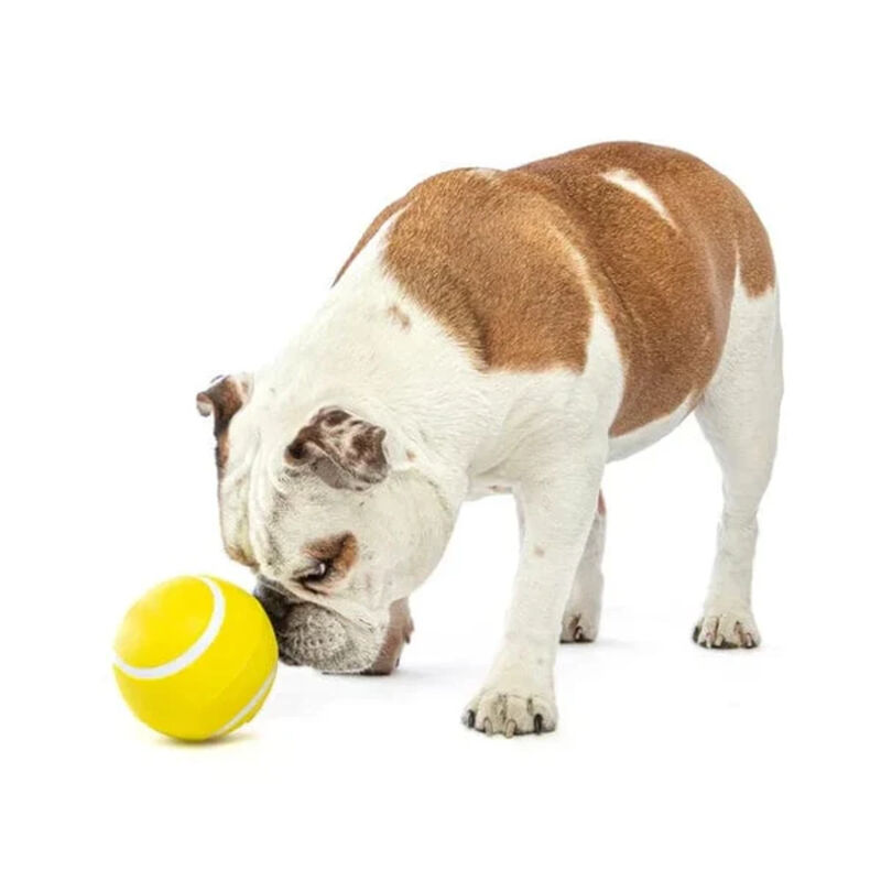GURU, Giggling Tennis Ball image number null