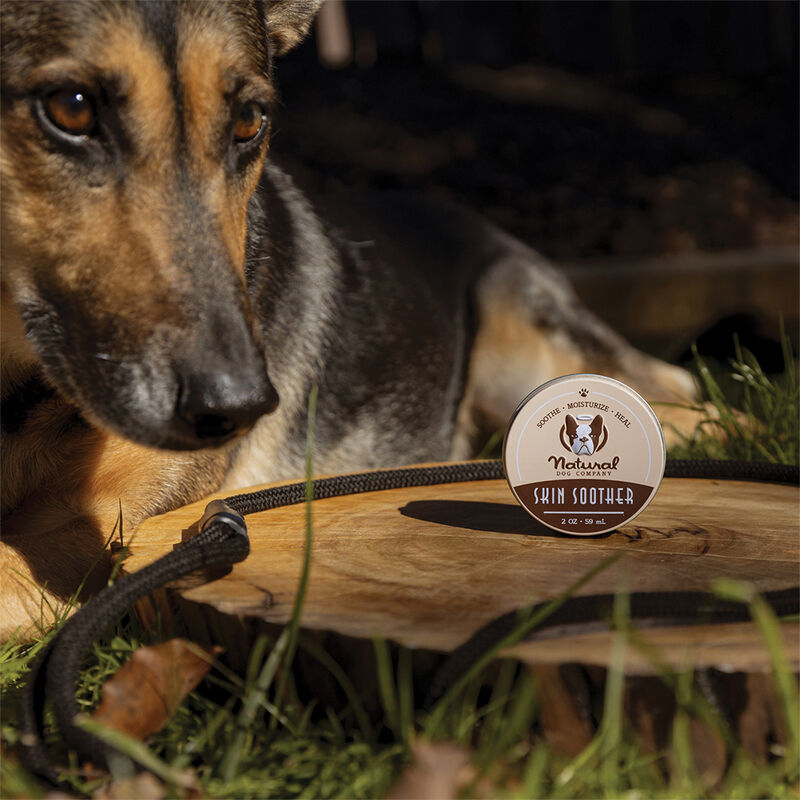 Natural Dog Company, Skin Soother Balm - 2 oz image number null