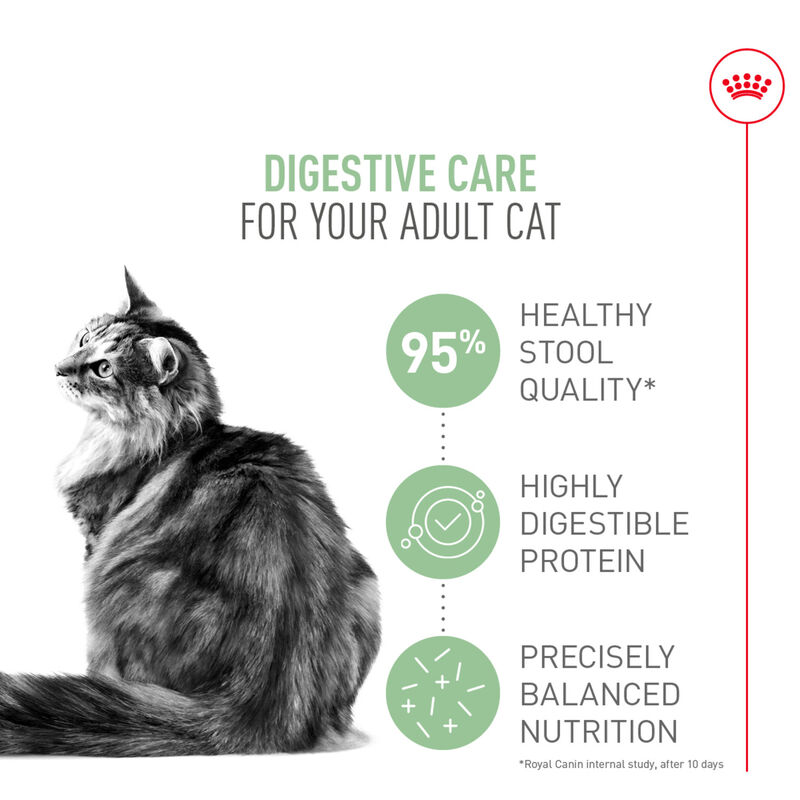 Royal Canin, Feline Care Nutrition Digestive Care Adult - Dry Cat Food image number null