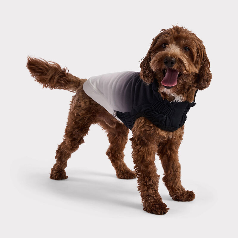 GF Pet, Good Vibes Hoodie - Charcoal image number null