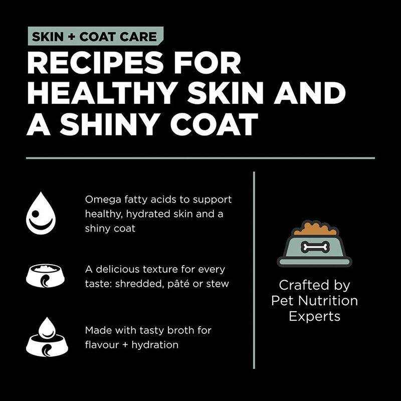 GO! SOLUTIONS, SKIN + COAT CARE Turkey + Salmon PÃ¢tÃ© for dogs image number null