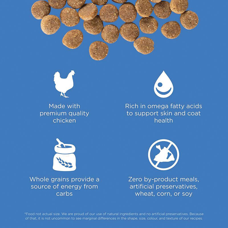 GO! SOLUTIONS SKIN + COAT CARE Chicken Recipe for dogs image number null