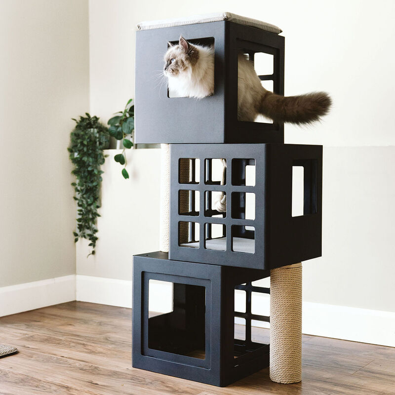 BeOneBreed, KATT KUBE Multi image number null