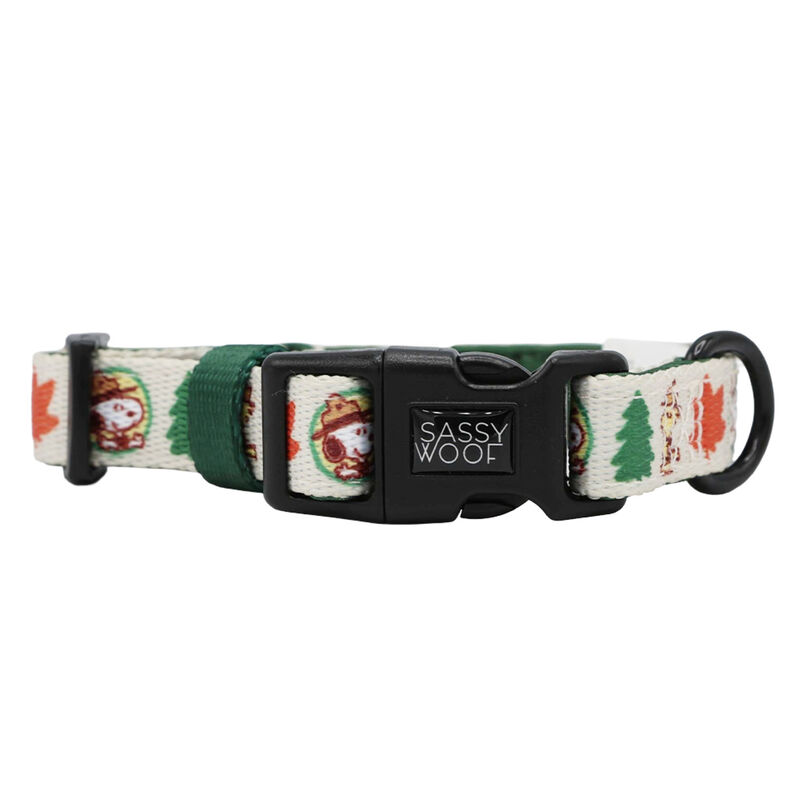 Sassy Woof, Peanut Camping Collar and Leash Set for Dogs image number null