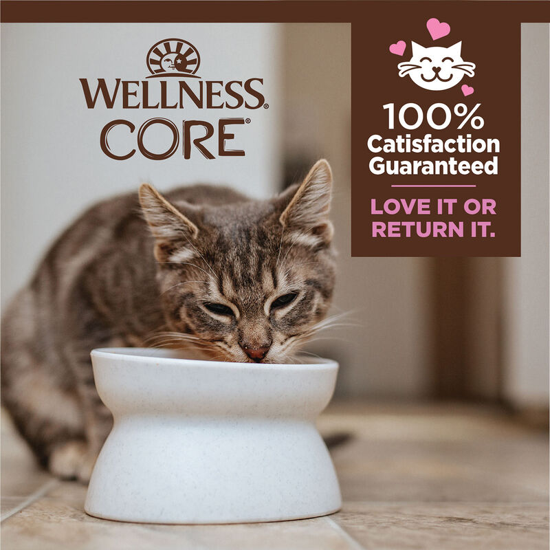 Wellness, Pouch, Kitten - Core Grain Free Tiny Tasters Chicken Recipe Pate - 50g - Wet Cat Food image number null
