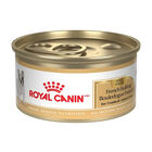 Royal Canin, Breed Health Nutrition - French Bulldog Loaf - Wet Dog Food image number null