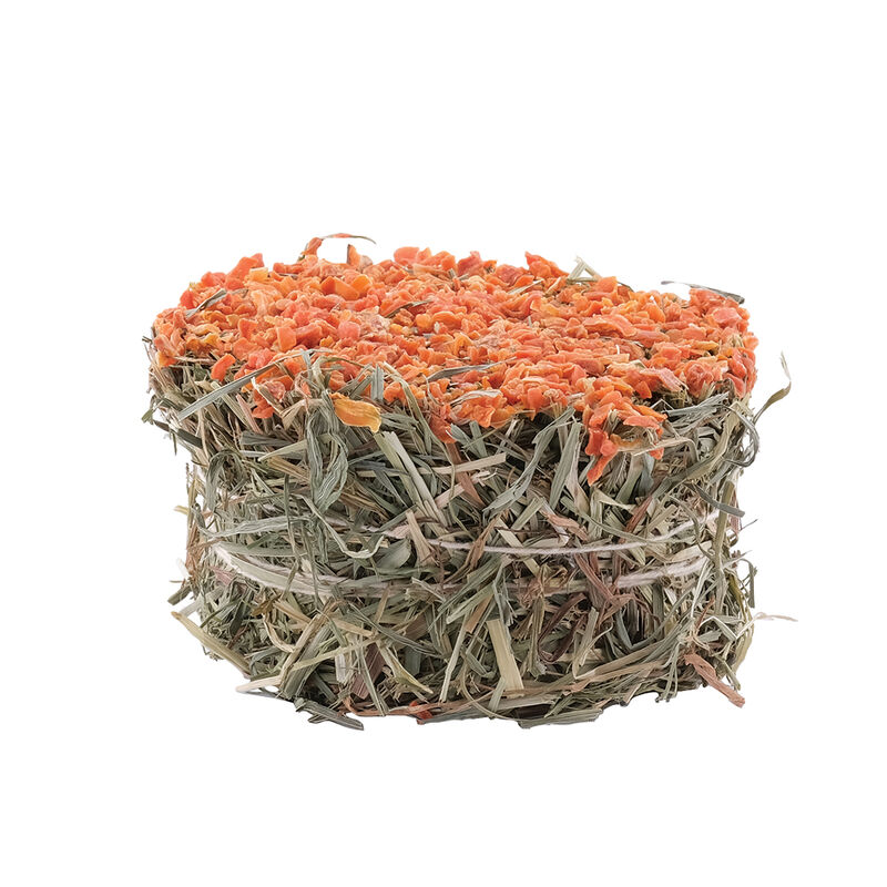 Living World Green, Hay/Biscuits Cakes - Carrot image number null