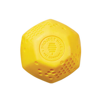 Project Hive Pet Company, Hive Ball