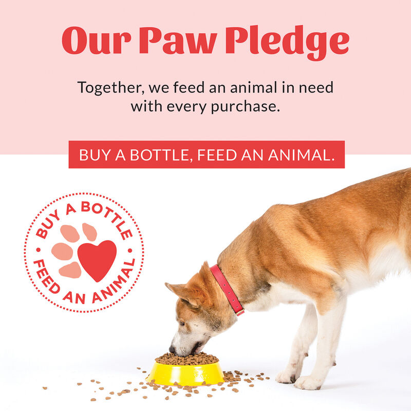 Skouts Honor, Pet Grooming Wipes - 80 count image number null