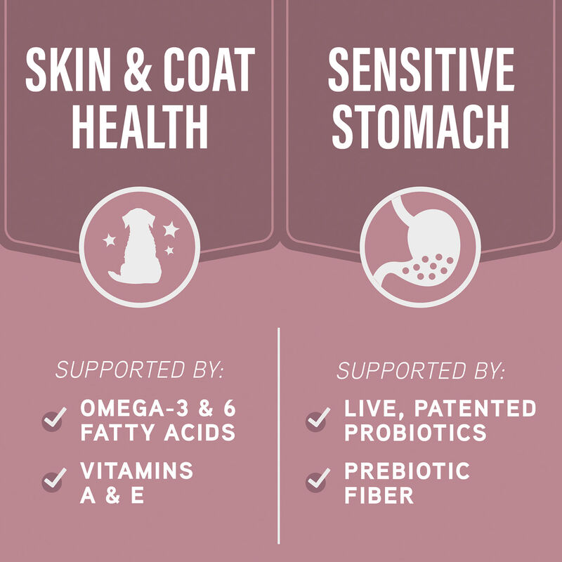 Natural Balance, Specialized Nutrition - Sensitive Skin & Stomach Salmon & Oatmeal Formula - Dry Dog image number null