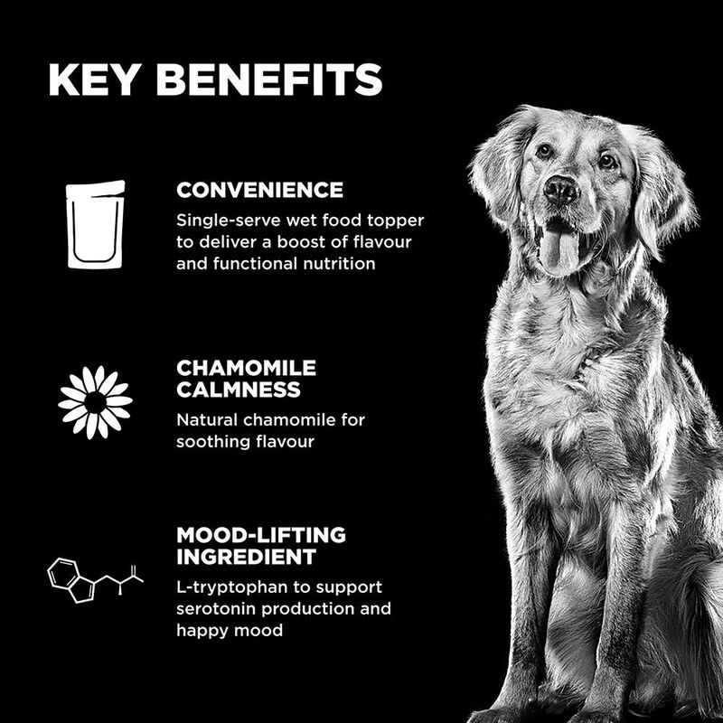 GO! SOLUTIONS,  BOOSTER Tranquility Chicken, Salmon + Duck Stew - 78 g - Wet Dog Food image number null