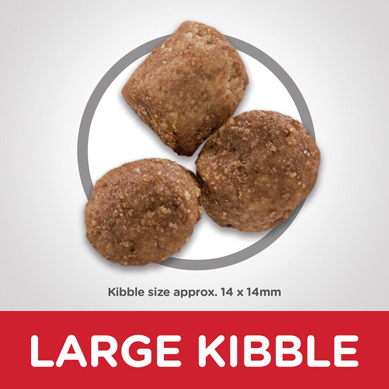 Science Diet, Adult Healthy Mobility Large Breed Chicken Meal, Rice & Barley Dry Dog Food - Dry Dog image number null