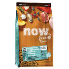NOW FRESH, Puppy GF Large Breed - 11.3 kg - Dry Dog Food image number null