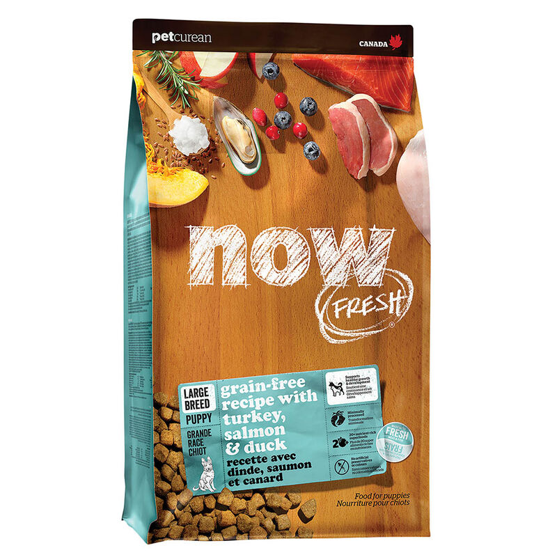 NOW FRESH, Puppy GF Large Breed - 11.3 kg - Dry Dog Food image number null