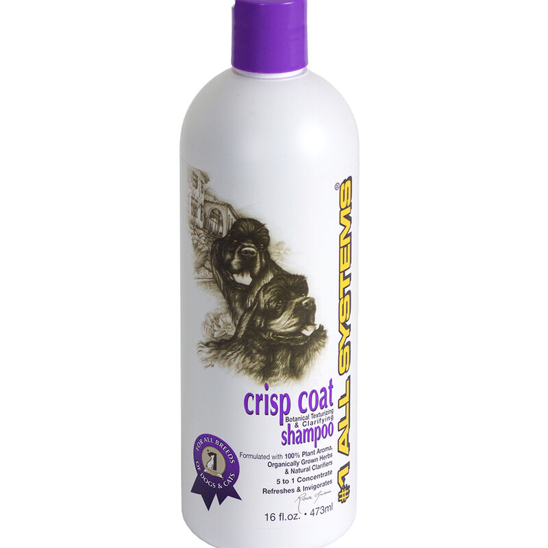 #1 All Systems, Crisp Coat Texturer & Detox Shampoo - 16 oz image number null