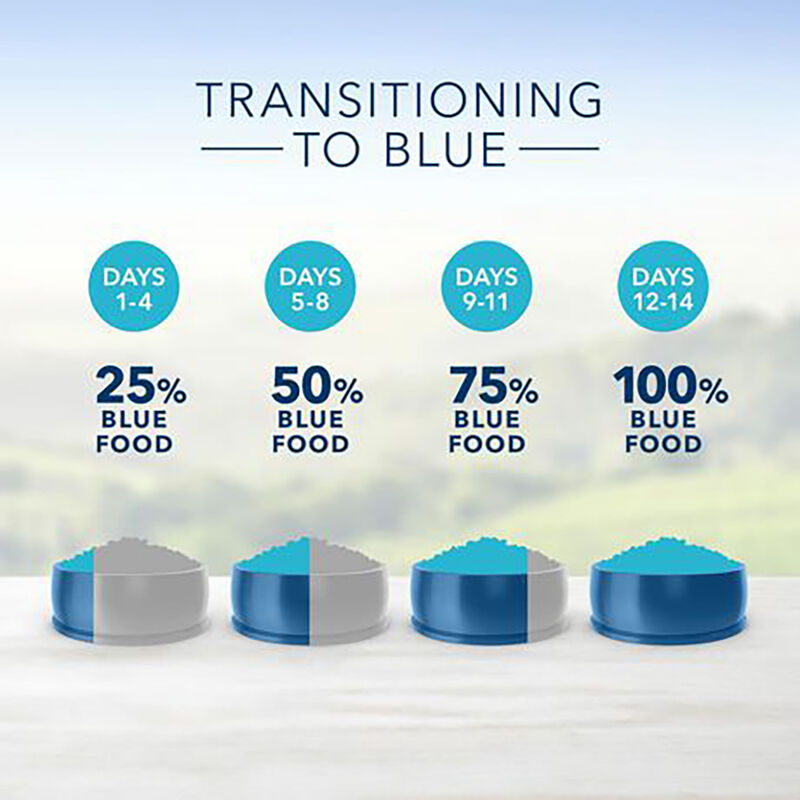 Blue Buffalo, Adult - LP - SB - Lamb - Dry Dog Food image number null